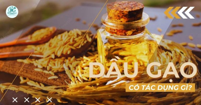 công dụng của dầu gạo