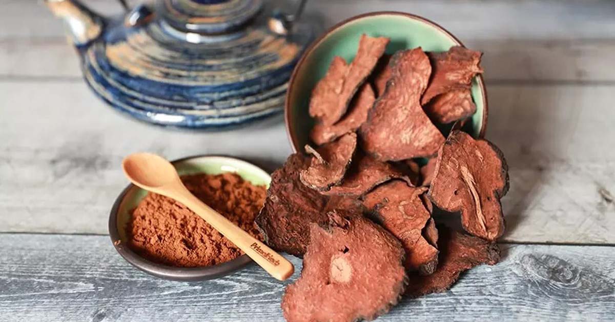 Hà thủ ô có mấy loại? Hà thủ ô có tác dụng gì? Cách dùng, lưu ý và giá bán