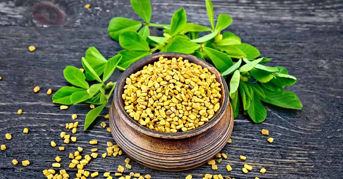 Hạt cỏ cà ri - fenugreek seed là gì, mua ở đâu?