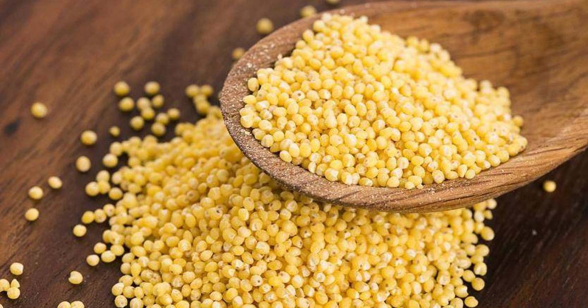 Hạt kê có tác dụng gì, ăn có béo không? 6 tác dụng của hạt kê