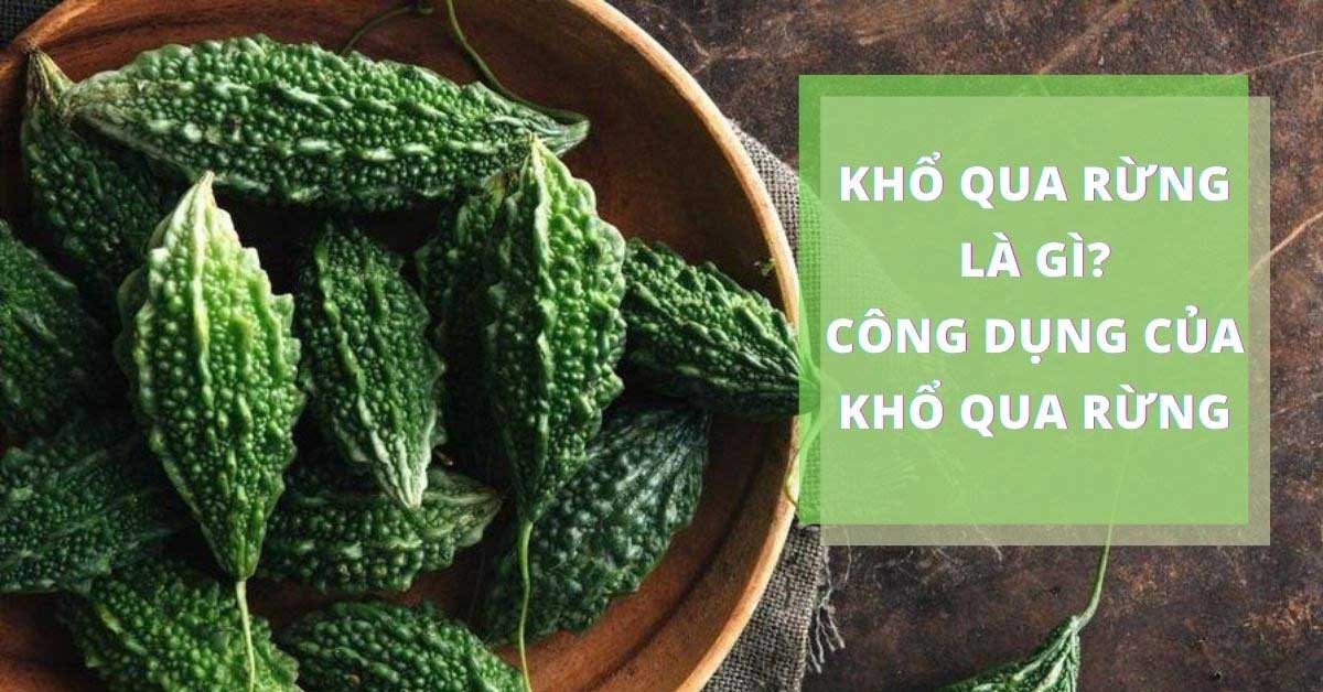 Khổ qua rừng là gì? Công dụng của khổ qua rừng, cách dùng.