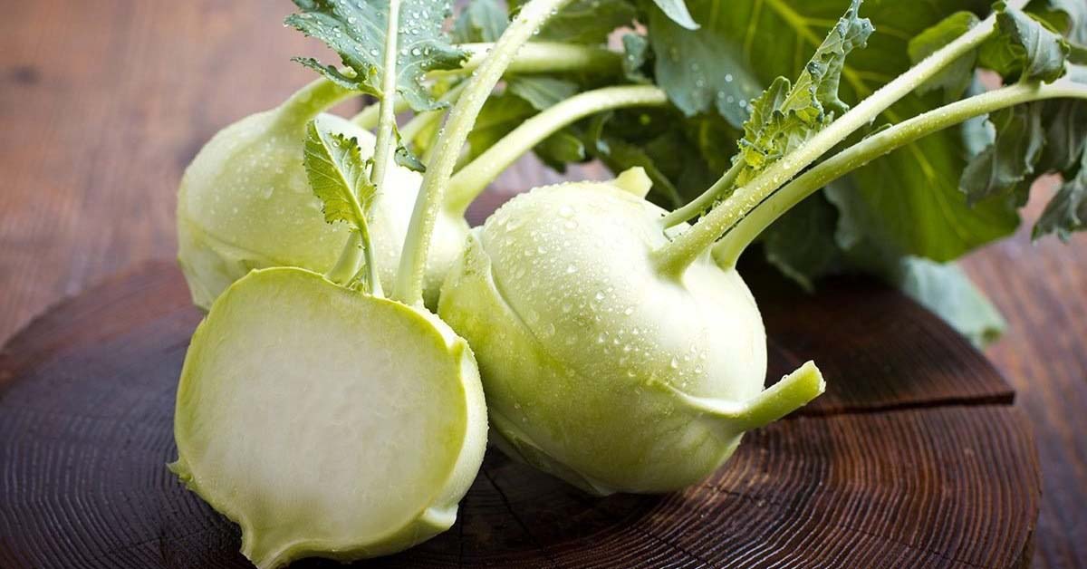 Kohlrabi - su hào là gì? Dinh dưỡng, tác dụng và các món ăn ngon từ su hào