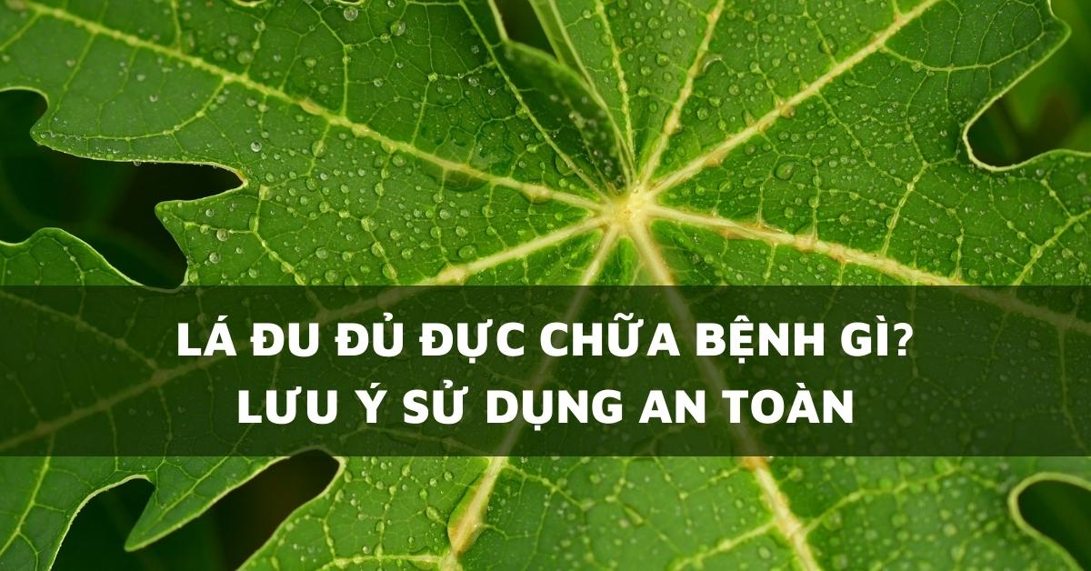lá đu đủ đực chữa bệnh gì