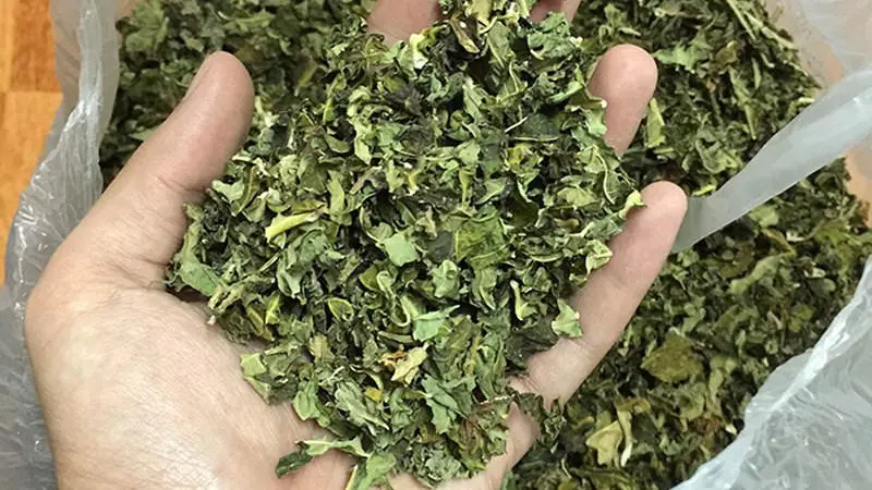 Nấu nước lá đu đủ đực đã phơi khô