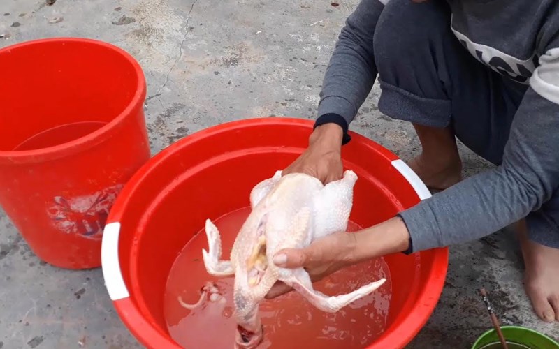 Khử mùi hôi của thực phẩm