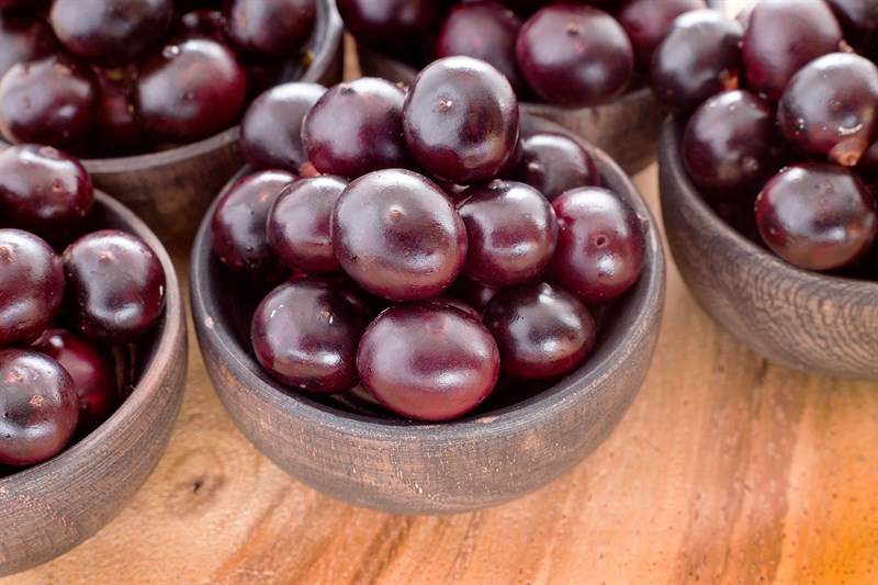 Quả acai berry là quả gì?