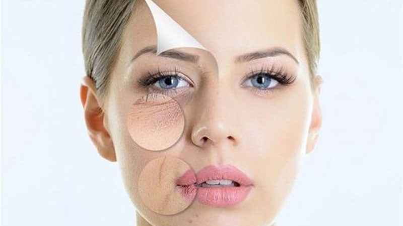Giàu chất chống oxy hoá