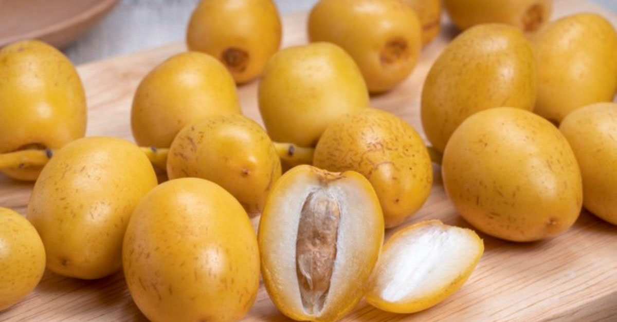 Quả chà là là quả gì, bao nhiêu calo? Tác dụng của quả chà là