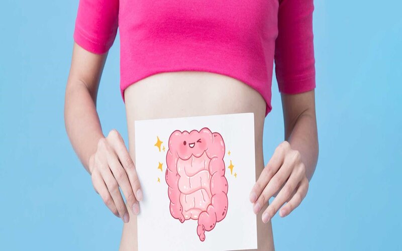 Giải độc, kích thích tiêu hóa, làm mát máu