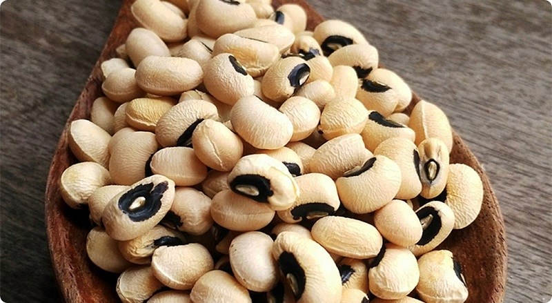 Đặc điểm của đậu trắng