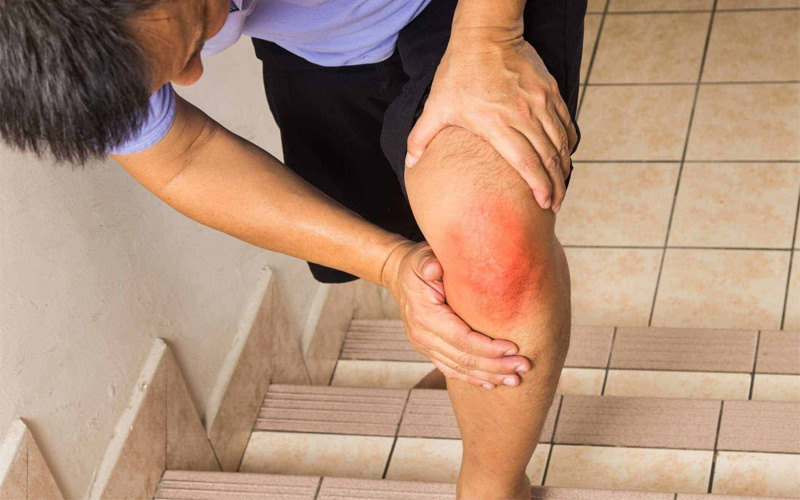 Uống nước lá mơ lông 1 ngày mỗi lần sẽ có tác dụng trong việc trị thấp khớp