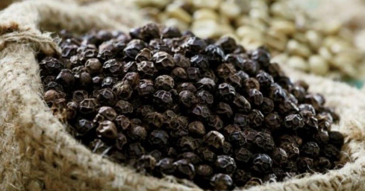 Tiêu Jamaica - allspice là gì? Mua tiêu ở đâu và tác dụng của nó