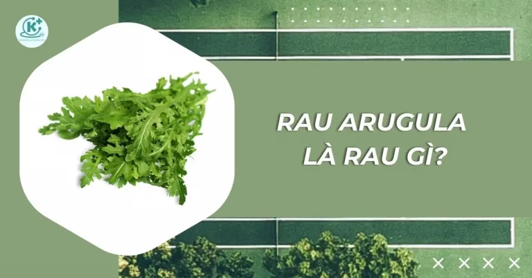 rau arugula là rau gì