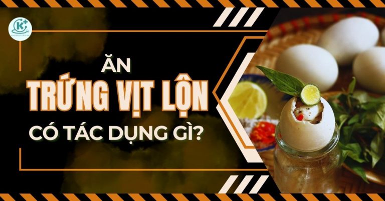 ăn trứng vịt lộn có tác dụng gì