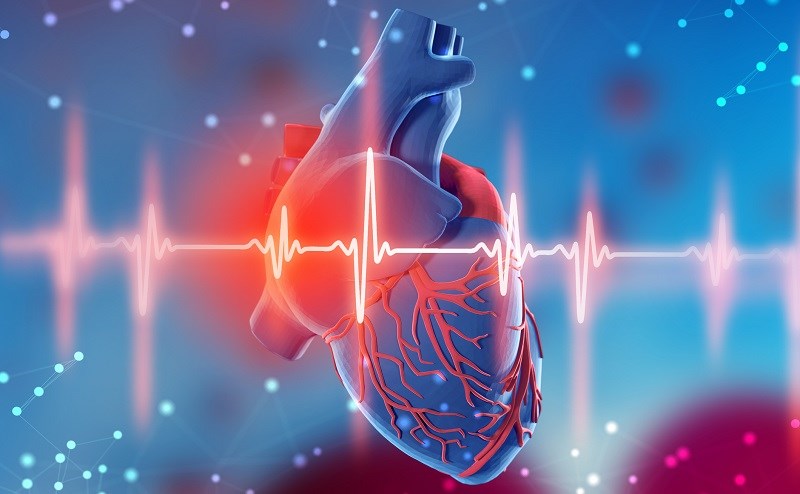 Tăng khả năng vượt qua bệnh tật