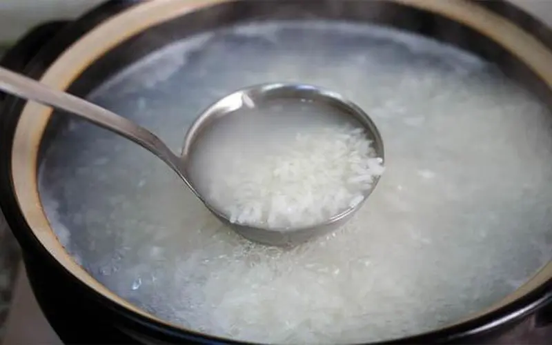 Cho ăn thức ăn nhẹ, dễ tiêu hóa