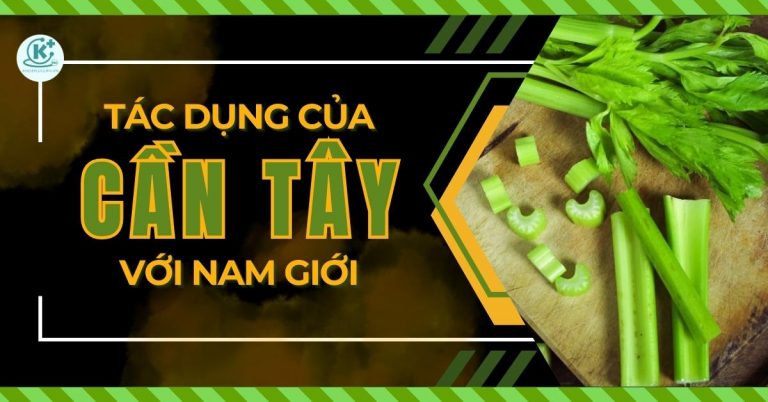 tác dụng của cần tây với nam giới