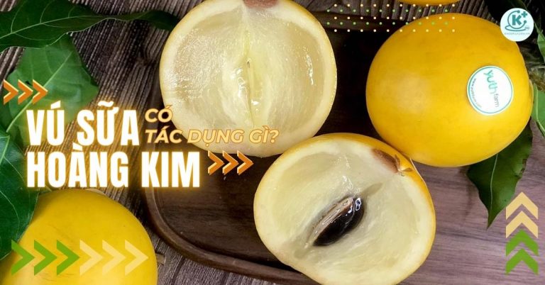 vú sữa hoàng kim có tác dụng gì