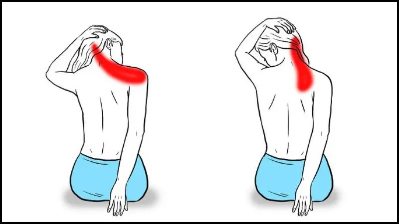 Bài tập này sẽ giúp xoa dịu cảm giác căng cứng các cơ ở vùng cổ và vai