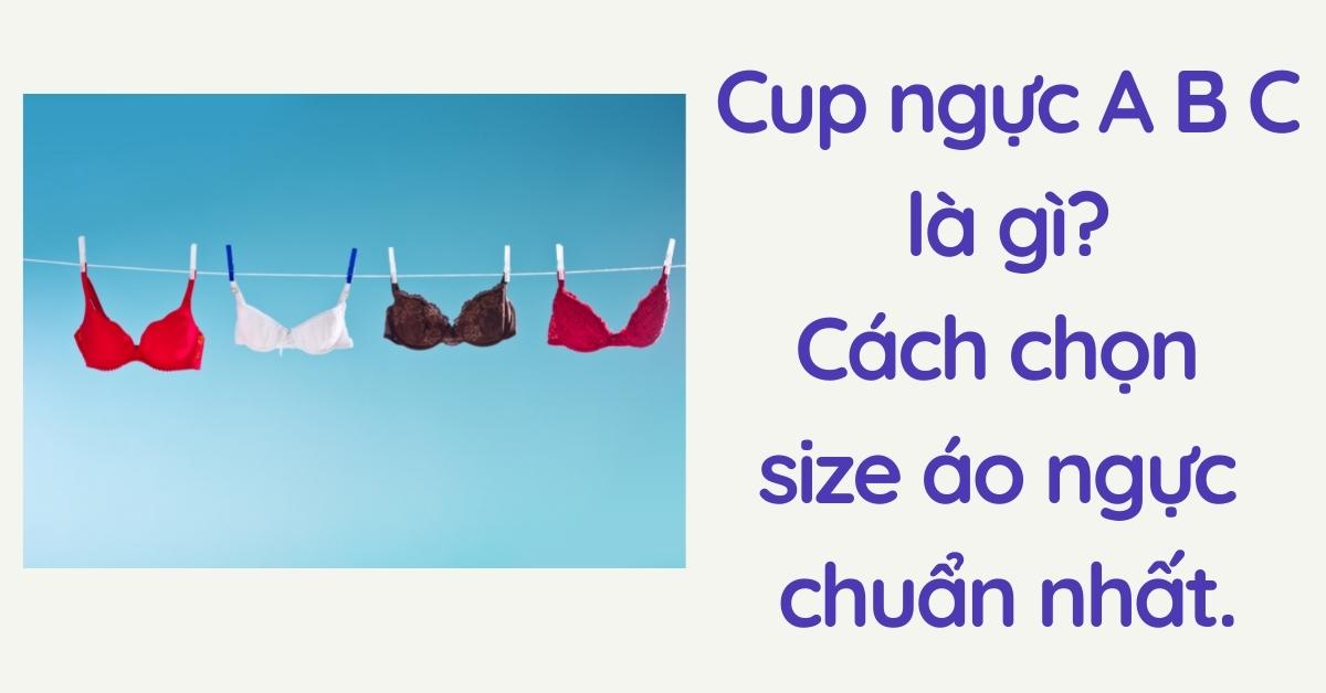 cup ngực là gì
