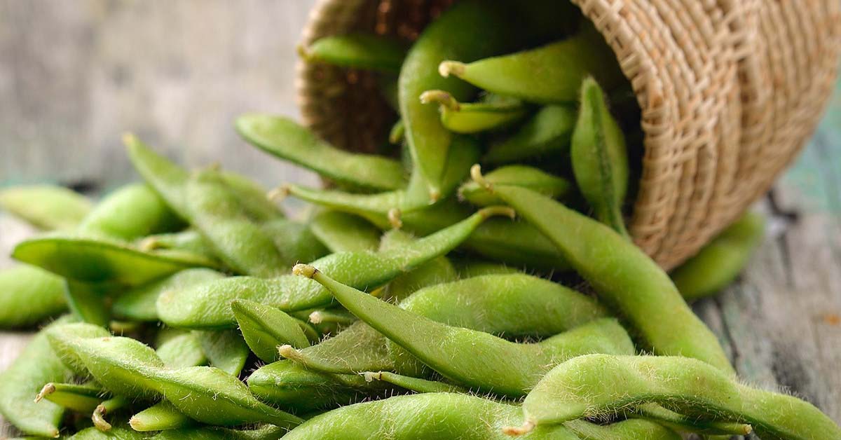 Đậu nành Nhật Edamame là gì? 8 tác dụng của đậu nhật đối với sức khỏe
