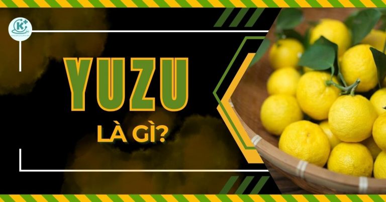 yuzu-la-gi-thumbnail