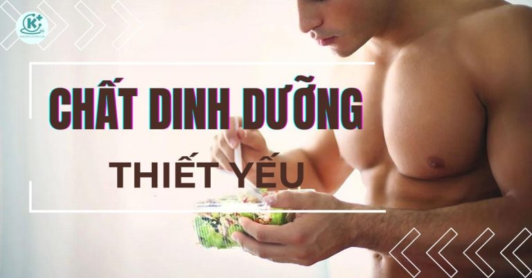 Chất dinh dưỡng thiết yếu cần thiết cho cơ thể khoẻ mạnh
