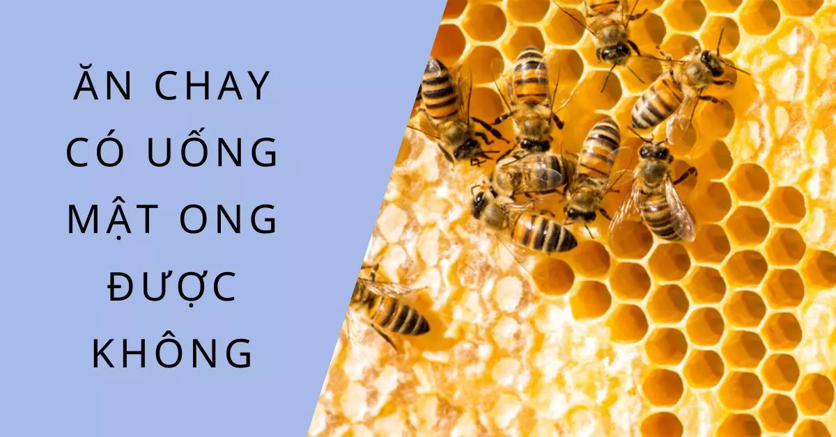 ăn chay có uống mật ong được không