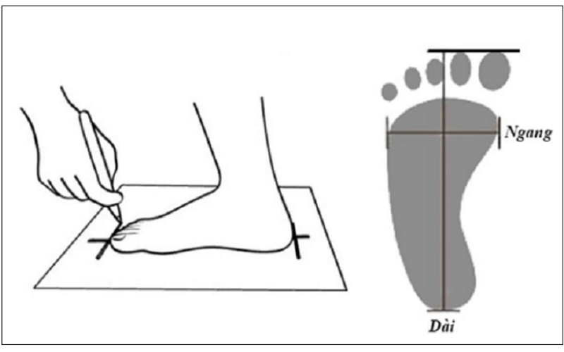 Cách đo size giày bóng đá cực chuẩn