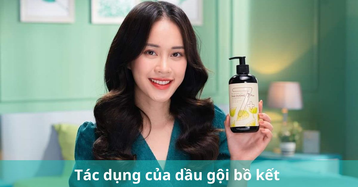 dầu gội bồ kết có tác dụng gì