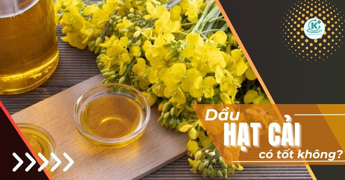 dầu hạt cải có tốt không