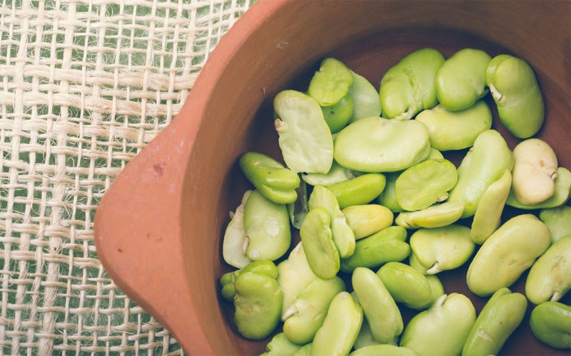 Đậu lima - lima bean là gì?