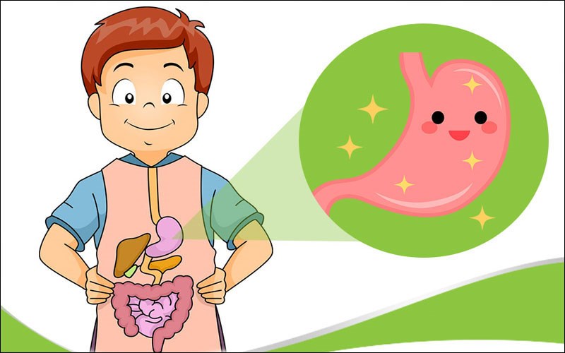 Cải thiện tiêu hoá