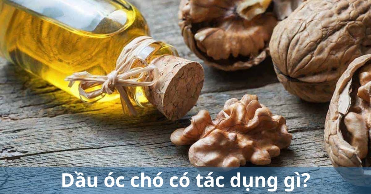 dầu óc chó có tác dụng gì