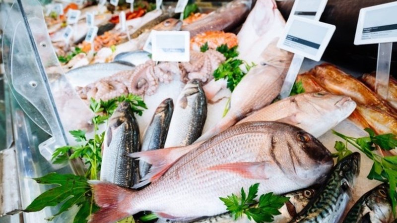 Các loại cá nhiều dầu chứa nhiều omega-3, protein giúp giảm viêm, phục hồi cơ bắp sau luyện tập