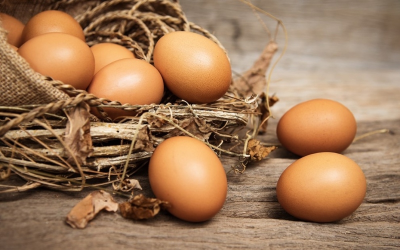 Trứng được xem là nguồn protein dồi dào giúp hỗ trợ phục hồi cơ bắp sau trận đấu dài