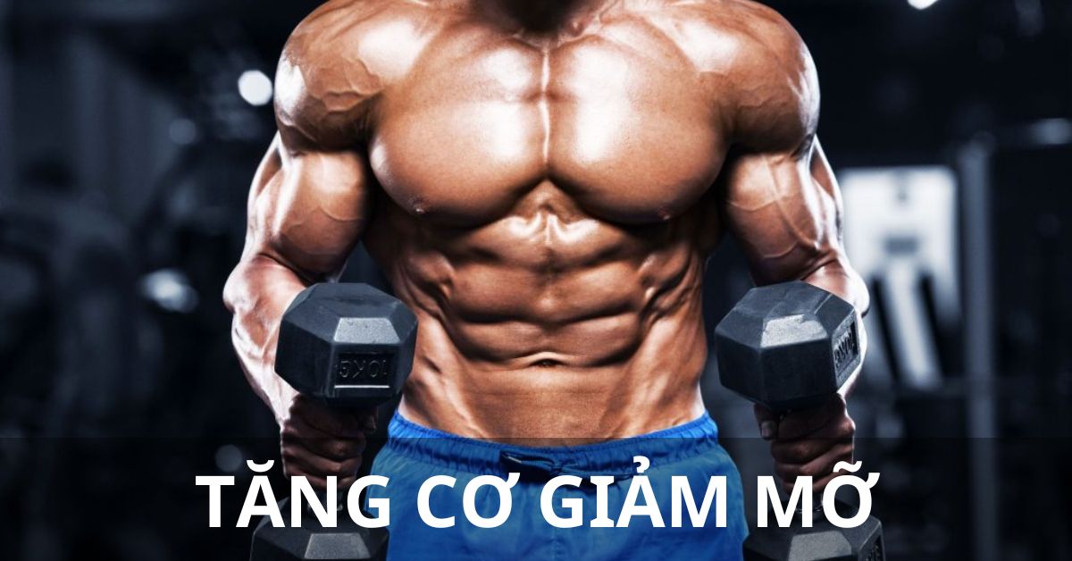 tăng cơ giảm mỡ