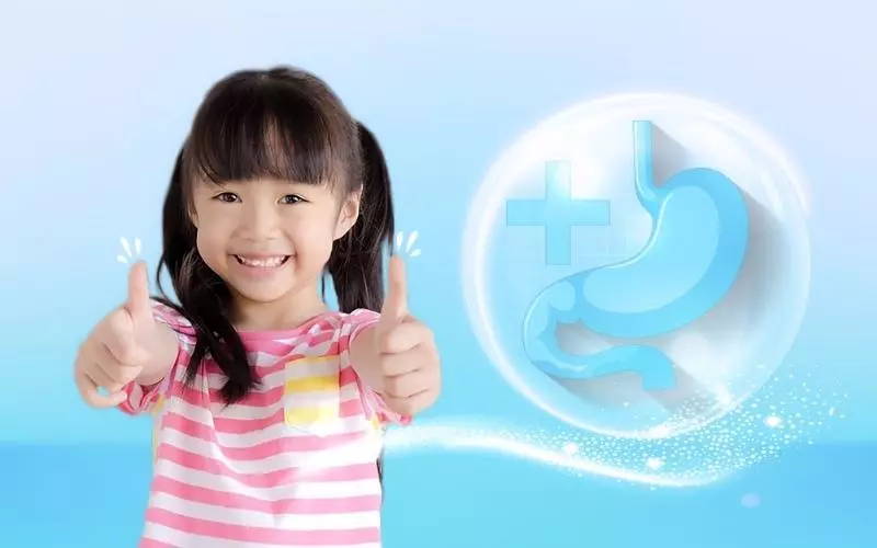 Hỗ trợ hệ tiêu hóa