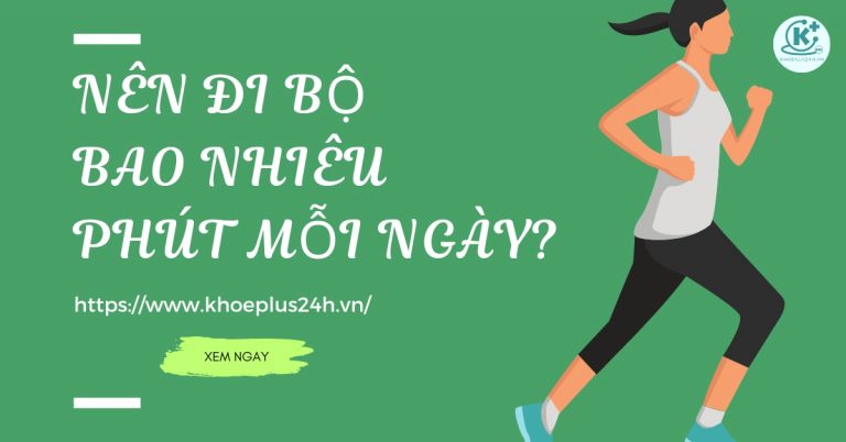 Nên đi bộ bao nhiêu phút mỗi ngày? Đi bộ đốt bao nhiêu calo?