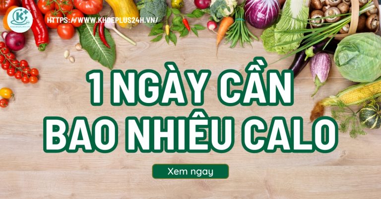 1 ngày cần bao nhiêu calo? Cách tính lượng calo nên nạp 1 ngày