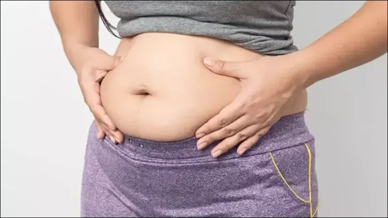 Bổ sung rong biển trong thực đơn hằng ngày còn giúp giảm khả năng hấp thụ chất béo