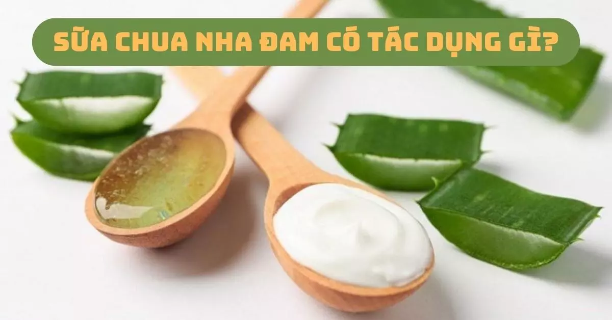 sữa chua nha đam có tác dụng gì