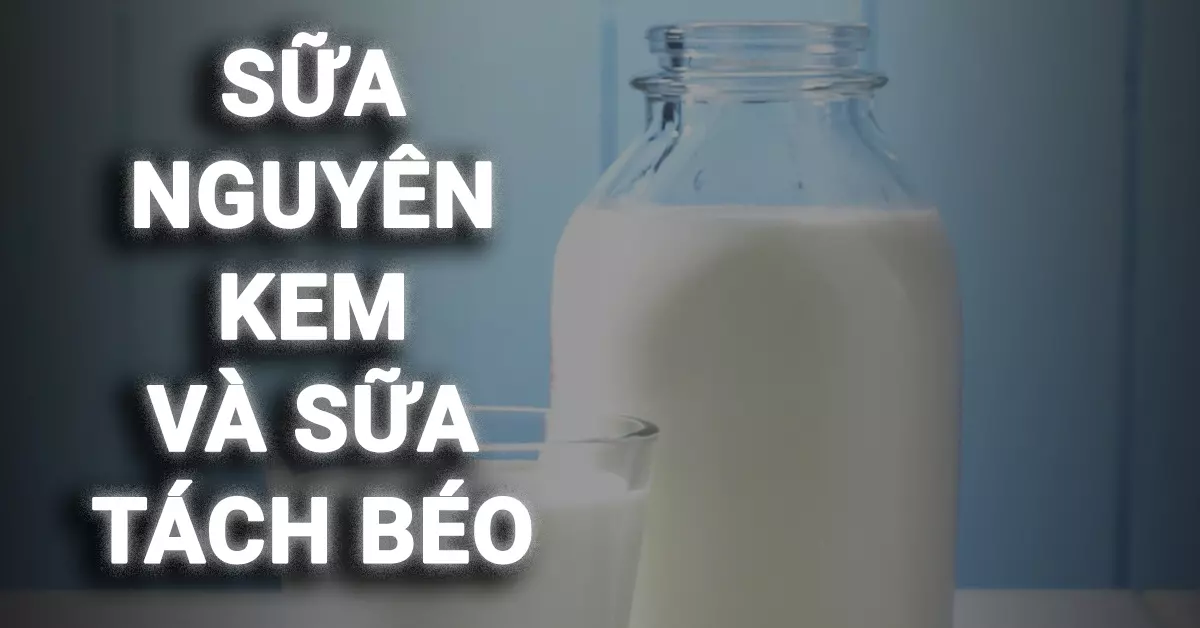 sữa nguyên kem và sữa tách béo