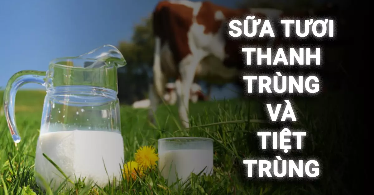 sữa tươi thanh trùng và tiệt trùng