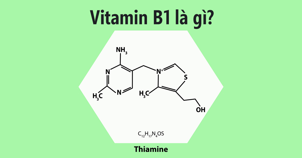 Vitamin B1 (thiamine) là gì, giá bao nhiêu? Vitamin B1 có tác dụng gì?