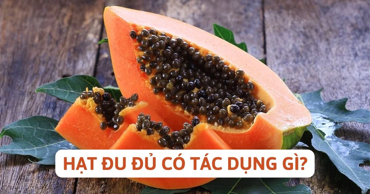 Hạt đu đủ có tác dụng gì? 14 tác dụng hạt đu đủ và cách dùng hạt