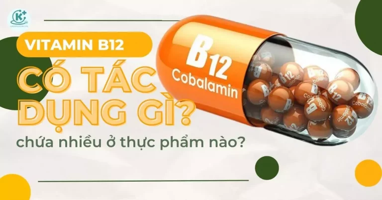 vitamin B12 có tác dụng gì?