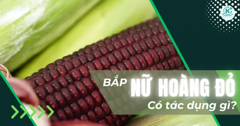 Bắp nữ hoàng đỏ có tác dụng gì? 5 Lợi ích thần kì đối với sức khoẻ