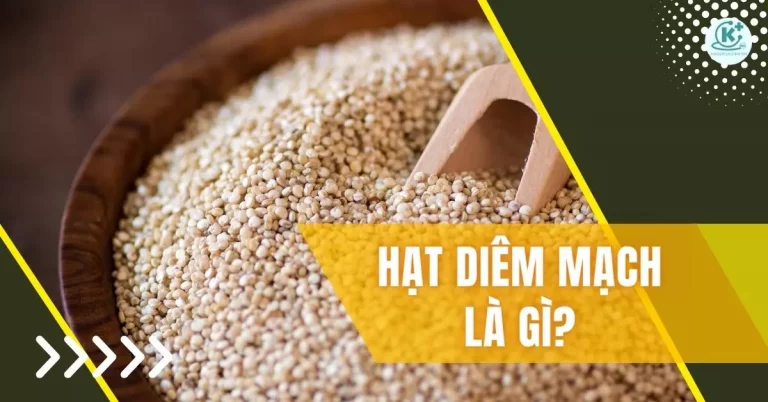 hạt diêm mạch là gì