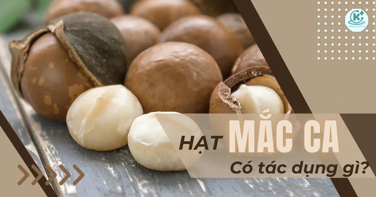 Hạt mắc ca có tác dụng gì? Hướng dẫn ăn hạt mắc ca đúng cách